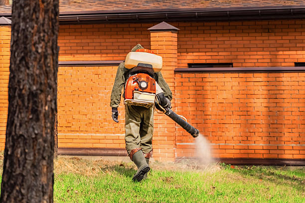 Bed Bug Clearance Verification and Documentation in Mabscott
